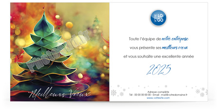 Ecard fixe C2512